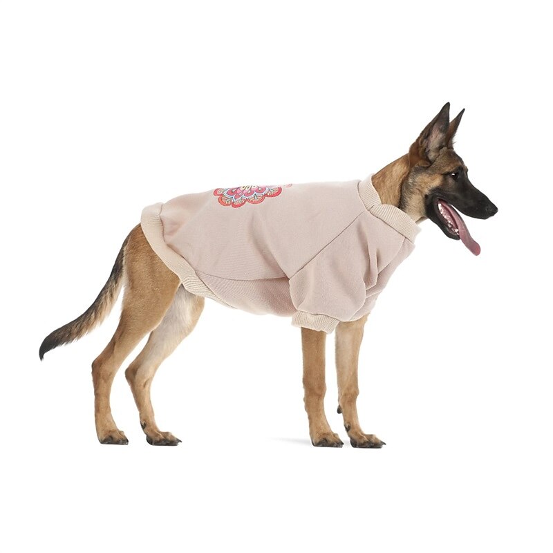 Câini Pisici Hanorca Modă Casual Iarnă Cald Respirabil Απαλό Lavabil Comfortabil În aer liber Casul / Zilnic Îmbrăcăminte pentru câini for Bichon Frise Pomeran un Animalut Fluture Small 2025 - $20.99 –P3