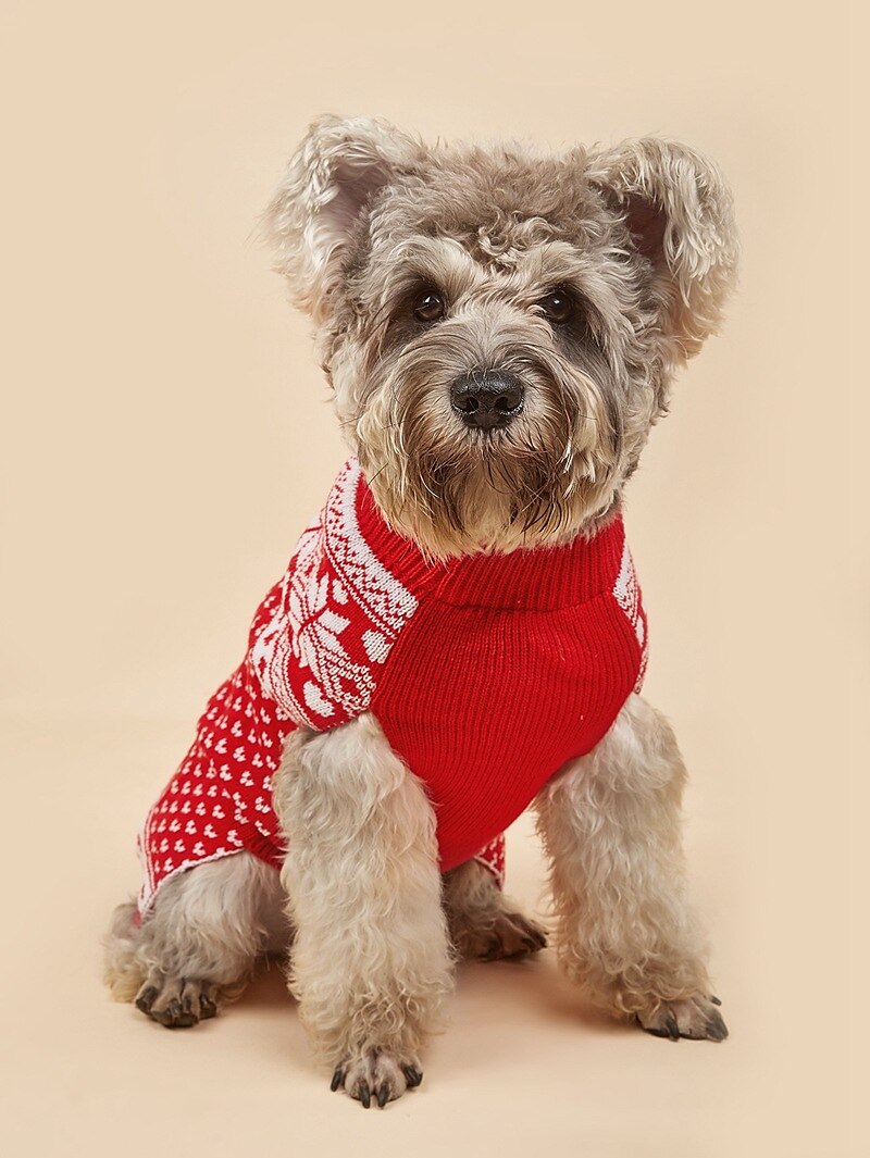 Câini Pisici Pulovere Jumper Petrecere Casual Iarnă Respirabil Απαλό Lavabil Comfortabil Crăciun În aer liber Casul / Zilnic Îmbrăcăminte pentru câini for Bichon Frise Pomeran un Animalut Fluture 2025 - $18.99 –P9