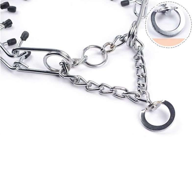 Chien Chat Colliers Ajustable Portable Durable Extérieur Marche de 2025 ? $18.49 –P4