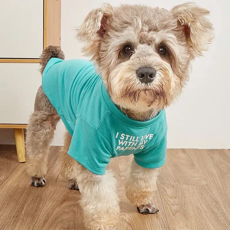 Psy Koty T-shirt Moda Codzienny Zima Oddychający Miękka Zmywalny Wygodny Na zewnątrz Codzienne Ubranka dla psów for Bichon frise Szpic miniaturowy szczeniaków i młodych kotów Motyl Small 2025 - $19.99 –P2