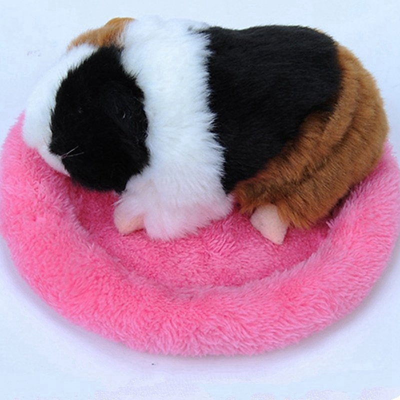 Haustiernest, holländisches Schwein, Schlafnest, rundes Nest, Plüschkissen, warmes Baumwollnest, Hamsternest, Igelnest 2025 - $10.99 –P4