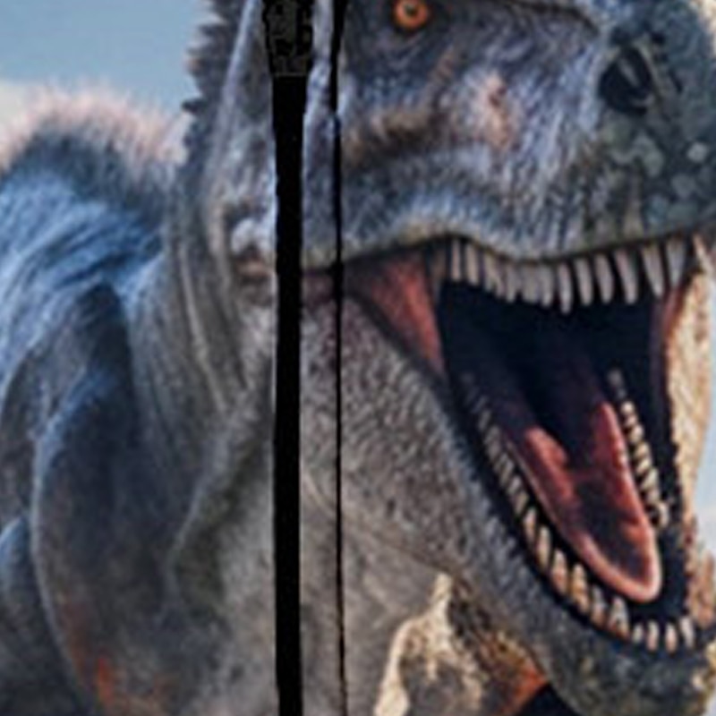 Pojkar 3D Dinosaurie Huvtröja Kappa Ytterkläder Långärmad 3D-tryck Höst Vinter Mode Streetwear Häftig Polyester Barn 3-12 år Utomhus Ledigt Dagligen Normal 2025 - $18.49 –P4