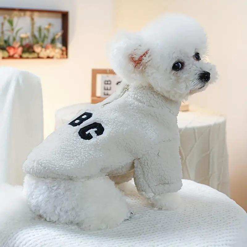 Câini Pisici Hanorace cu Glugă Modă Sport & Outdoor Iarnă Cald Respirabil Απαλό Lavabil Comfortabil În aer liber Casul / Zilnic Îmbrăcăminte pentru câini for Bichon Frise Pomeran un Animalut Fluture 2025 - $18.99 –P6