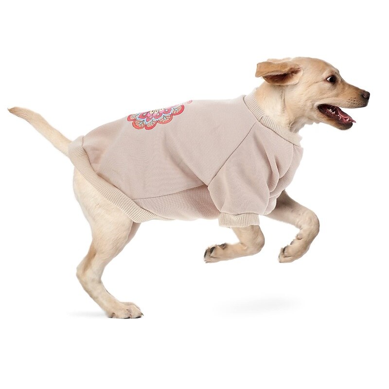 Câini Pisici Hanorca Modă Casual Iarnă Cald Respirabil Απαλό Lavabil Comfortabil În aer liber Casul / Zilnic Îmbrăcăminte pentru câini for Bichon Frise Pomeran un Animalut Fluture Small 2025 - $20.99 –P2