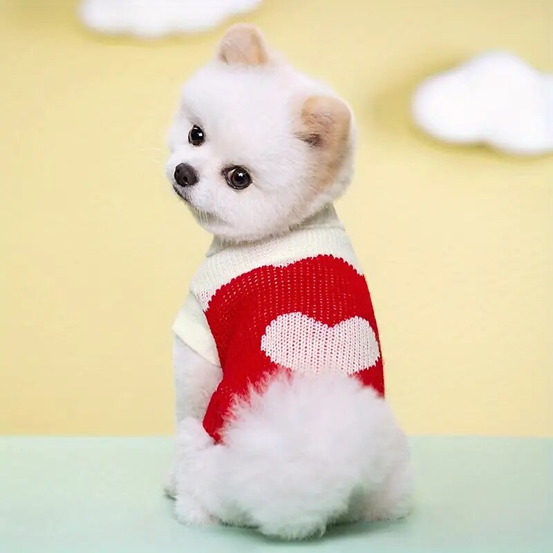 Kutyák Macskák Pulóverek Jumper aranyos stílus Alkalmi Tél Meleg Légáteresztő Mekano Mosható Kényelmes Szabadtéri Alkalmi / Napi Kutyaruházat for bichon frisé Pomerániai törpespitz Kölyök kisállat 2025 - $18.99 –P2