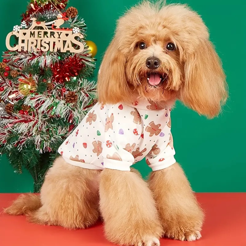 Hund Katt Huvtröjor Julkostym Juloutfit Förtjusande party Vinter Andningsfunktion Mjuk Tvättbar Bekväm Jul Utomhus Ledigt / vardag Hundkläder for Bichon Frisé Pommeran valpen eller det lilla 2025 - $13.99 –P1
