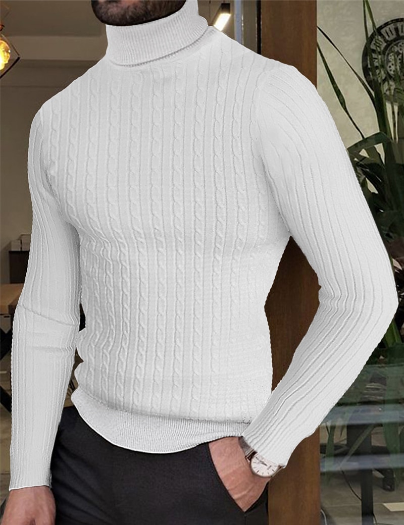 Herre Turtleneck genser Genser Herre Turtle Neck Jumper Riflet Kabel Strikke Strikket عادي Rullekrage Hold Varm Moderne Moderne Dagligdagstøy Ut på byen Klær Høst vinter Vin Svart M L XL 2025 - $14.99 –P2