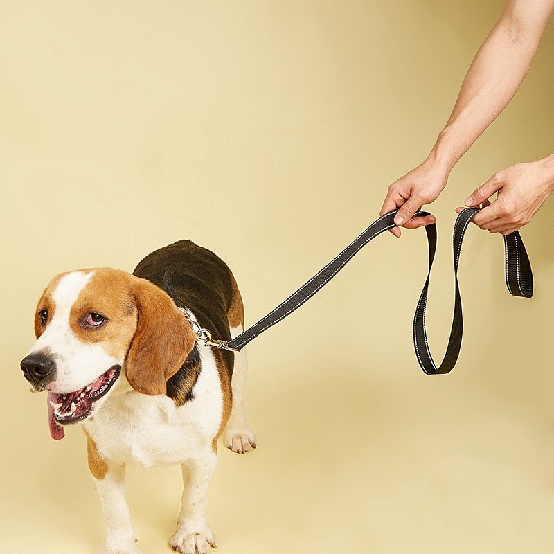 Hunde Katzen Leinen Reflektierend Einstellbar Tragbar Outdoor Gehen Einfarbig 2025 - $15.49 –P2