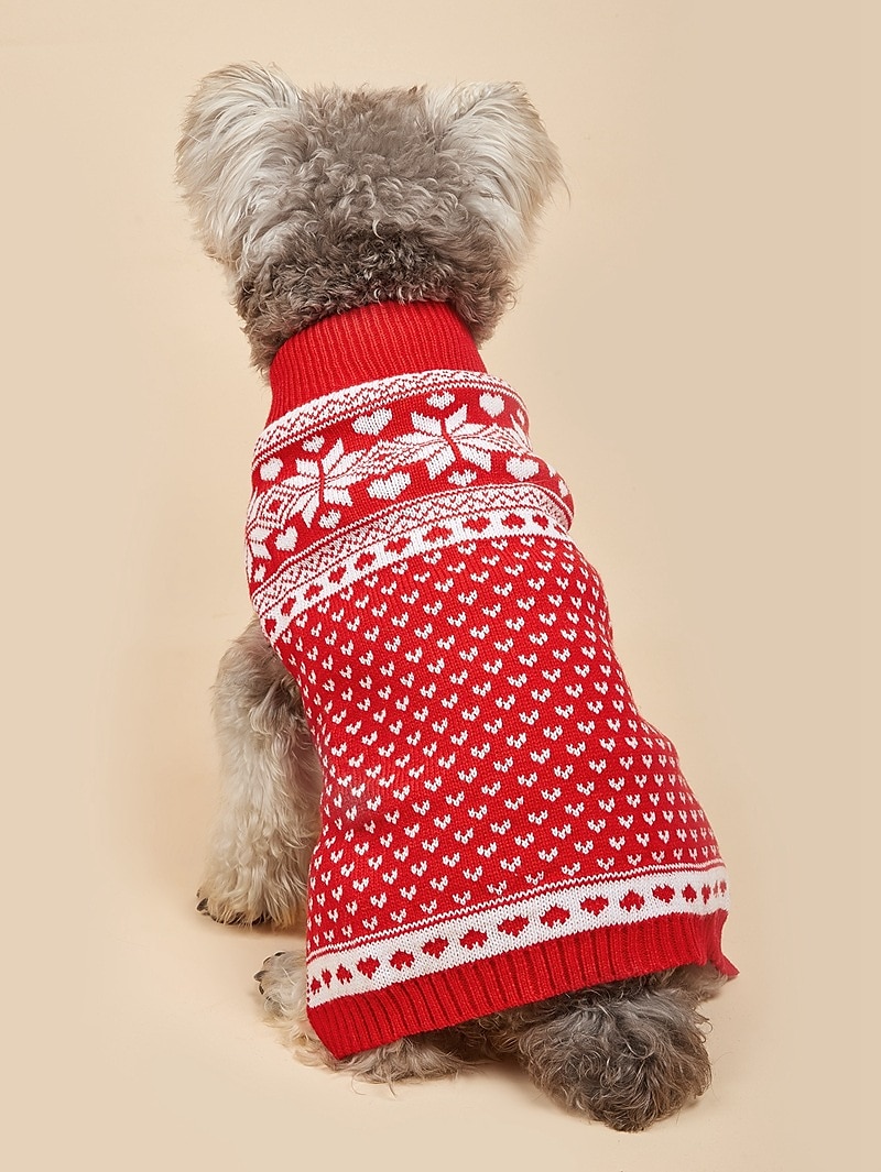 Câini Pisici Pulovere Jumper Petrecere Casual Iarnă Respirabil Απαλό Lavabil Comfortabil Crăciun În aer liber Casul / Zilnic Îmbrăcăminte pentru câini for Bichon Frise Pomeran un Animalut Fluture 2025 - $18.99 –P10