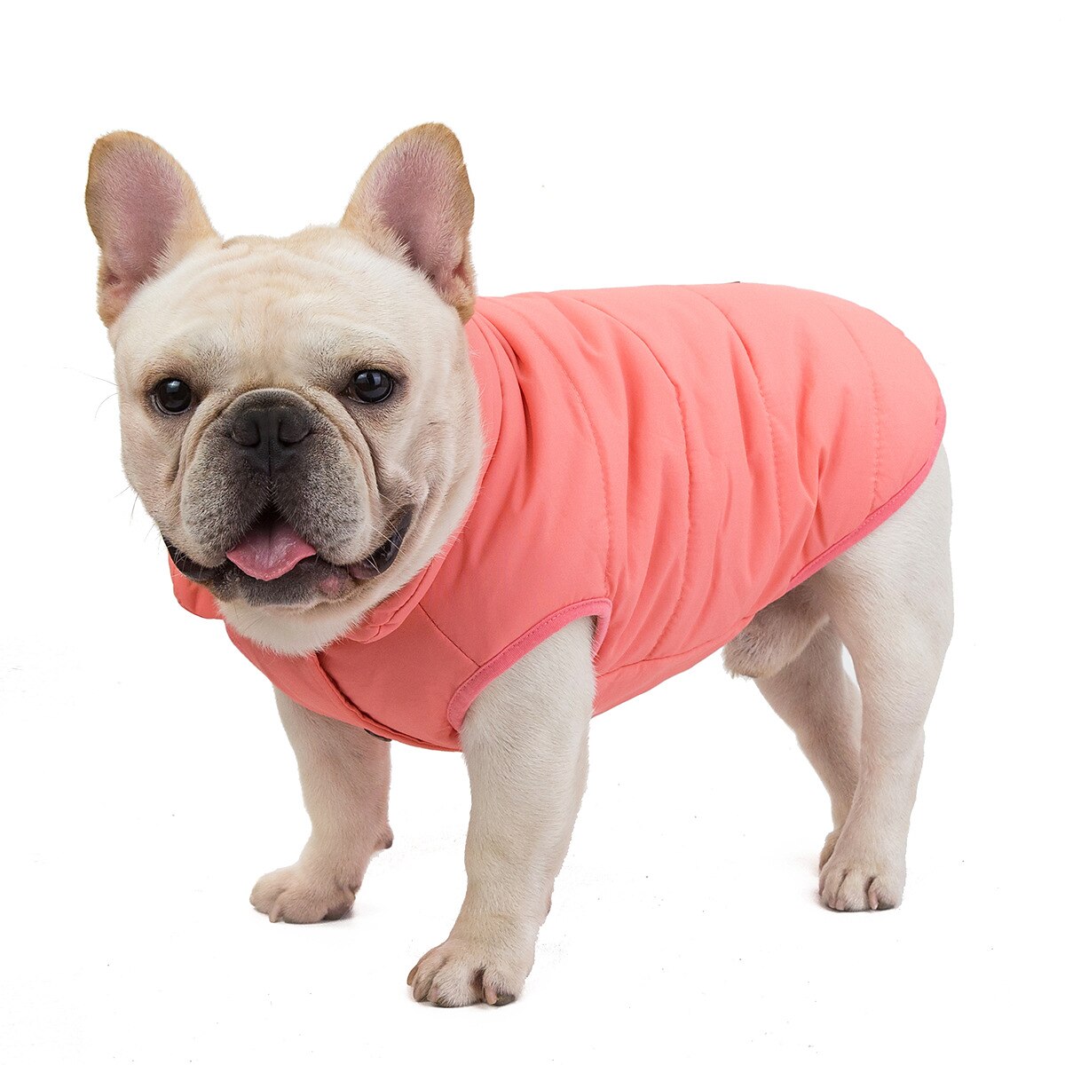 Perros Gatos Abrigos Chaqueta Chaleco Moda Fiesta Invierno Transpirable Suave Lavable Cómodo Navidad Víspera de Todos los Santos Exterior Casual Diario Ropa para perros for Bichón Frisé Pomerania 2025 - $20.99 –P4