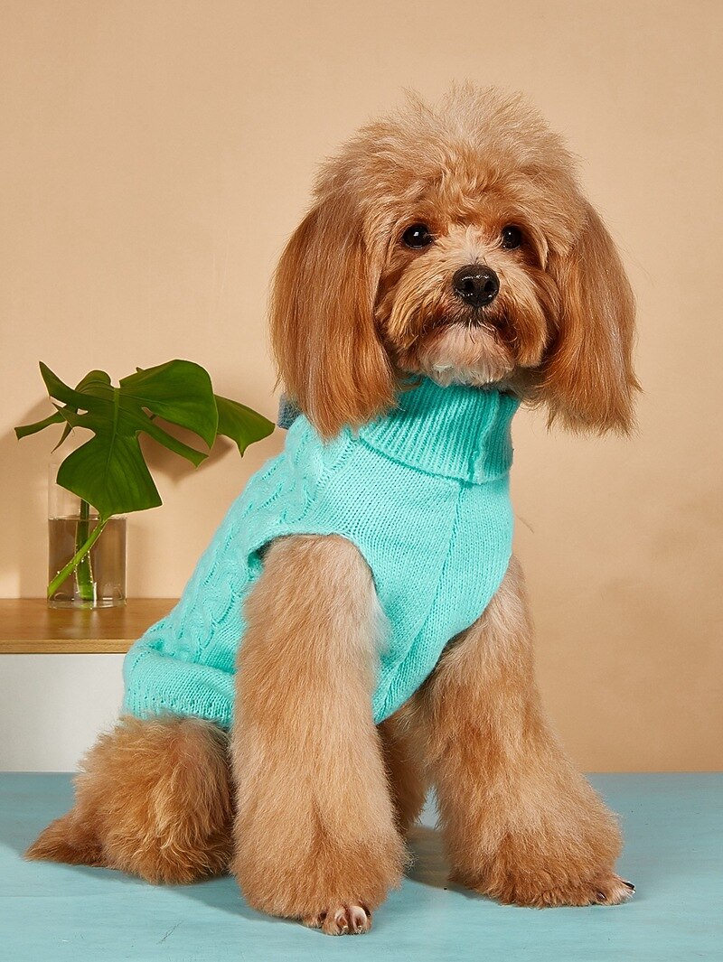 Chien Chat Pull Cavalier Style classique Décontractées Hiver Respirable Doux Lavable Confortable Noël Extérieur Casual Quotidien Vêtements pour chiens for Bichon Frisé Loulou de Poméranie Bébé Animal de 2025 ? $16.99 -P3