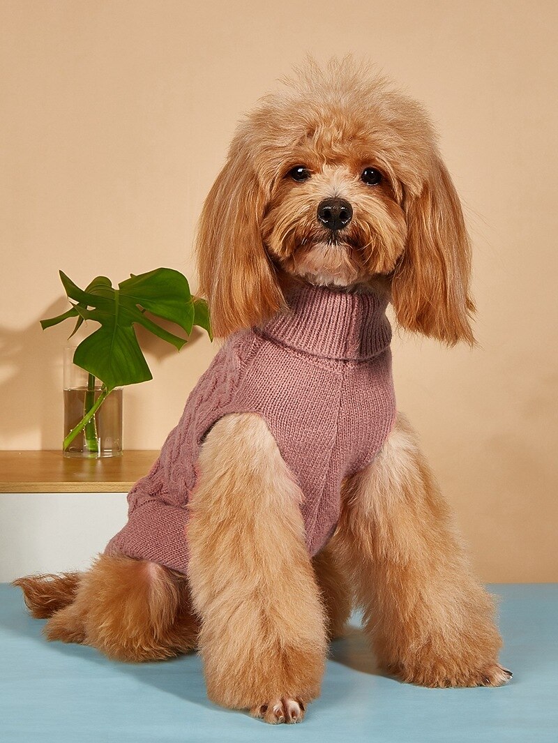 Chien Chat Pull Cavalier Style classique Décontractées Hiver Respirable Doux Lavable Confortable Noël Extérieur Casual Quotidien Vêtements pour chiens for Bichon Frisé Loulou de Poméranie Bébé Animal de 2025 ? $16.99 -P15
