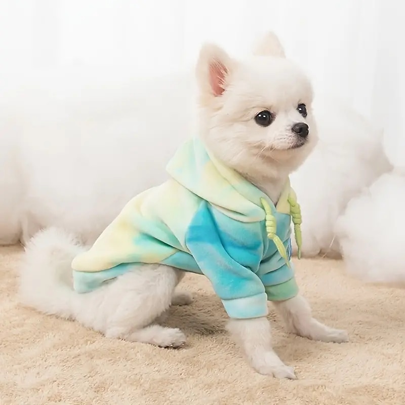 Kutyák Macskák Kapucnis felsőrész Divat Alkalmi Tél Meleg Légáteresztő Mekano Mosható Kényelmes Szabadtéri Alkalmi / Napi Kutyaruházat for bichon frisé Pomerániai törpespitz Kölyök kisállat Pillang 2025 - $18.99 –P5