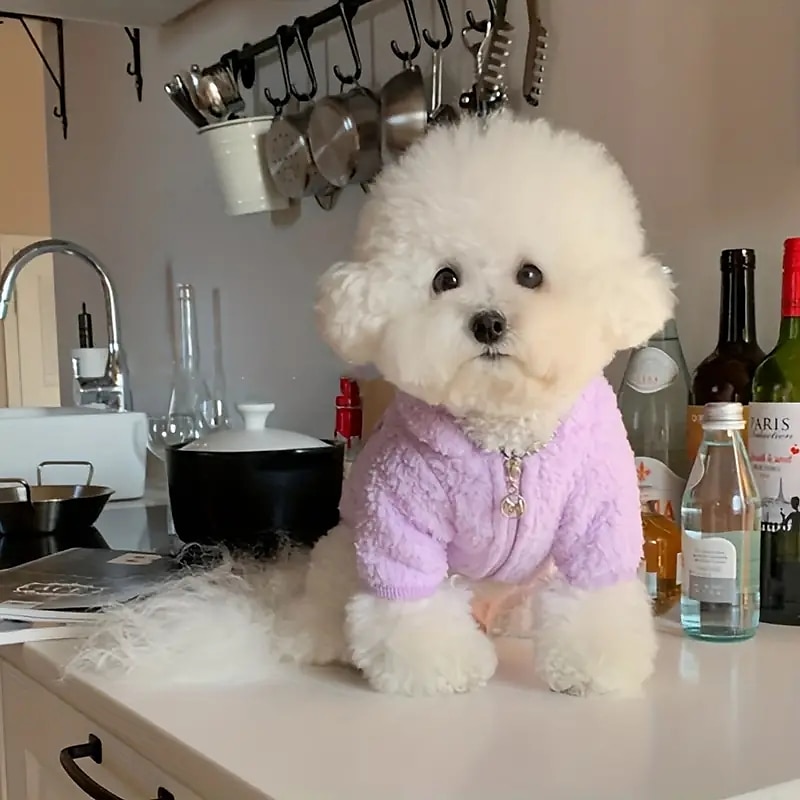 Hunder Katter Hettegensere søt stil Fritid Vinter Pustende Myk Vaskbar Bekvem utendørs Fritid / hverdag Hundeklær for Bichon Frisé Pommeran ungt kjæledyr Sommerfugl Small 2025 - $15.49 –P5