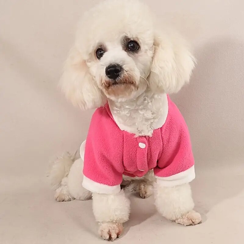 Chien Chat Pulls à capuche Mode Occasionnel Hiver Chaud Respirant Doux Lavable Confortable Extérieur Décontracté Quotidien Vêtements pour Chiens for Bichon Frisé Spitz Nain Bébé Animal Papillon Petit de 2025 ? $18.99 –P2