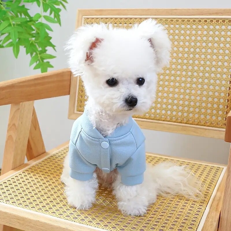 Cachorros Gatos Moletom Esporte & lazer Casual Diário Inverno Quente Respirável Macio Lavável Confortável Ao ar livre Casual / Diário Roupas para cães for Bichon Frise Pomerânia Animais de Pequeno de 2025 por $18.99 –P7