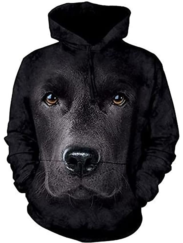 Men's Graphic Color Block Hoodies Hoodie Long Sleeve Hooded Sweatshirt Hooded Fashion 3D Print Vacation Holiday Streetwear Custom Print Blue 3D Print Print Spring & Fall Designer 2025 - $32.99 –P9