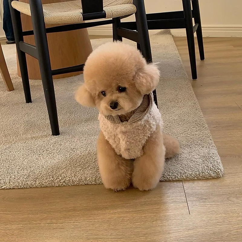 Koirat Kissat Takit Takki Muoti söpö tyyli Talvi Lämmin Pehmeä Pestävä Mukava ulko- Urheilu Koiran vaatteet for Bichon Frise Villakoira Pomeranian Pienelle lemmikille papillon 2025 - $27.99 –P4
