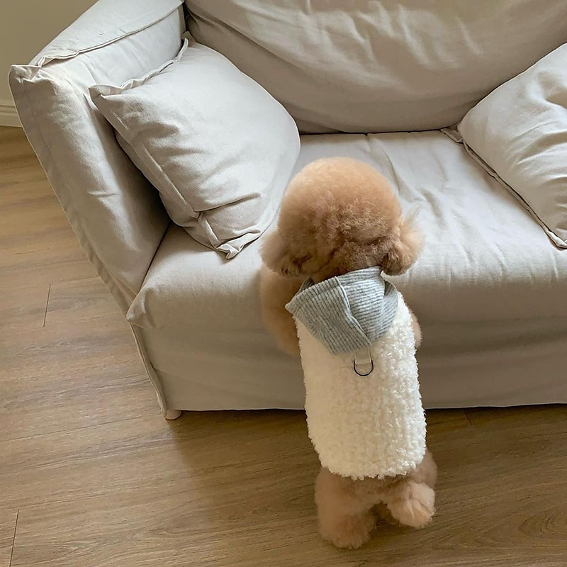 Koirat Kissat Takit Takki Muoti söpö tyyli Talvi Lämmin Pehmeä Pestävä Mukava ulko- Urheilu Koiran vaatteet for Bichon Frise Villakoira Pomeranian Pienelle lemmikille papillon 2025 - $27.99 –P1
