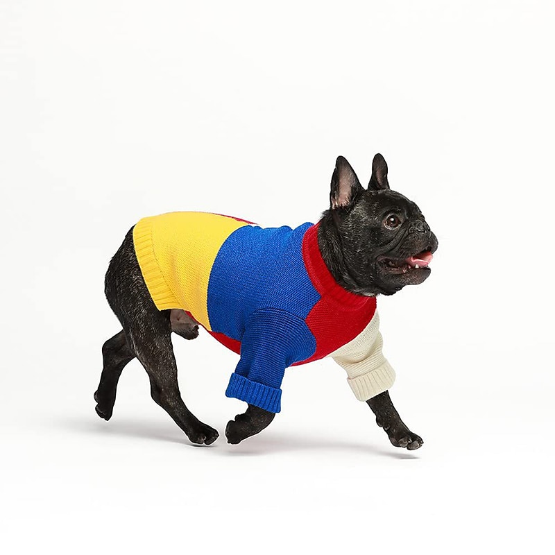 Hund Katze Pullover Jumper Mode Niedlich Winter Warm Weich Waschbar Bequem Outdoor Sport Hundebekleidung for Bichon Frise Pudel Zwergspitz Baby Haustier Papillon 2026 - $28.99 –P3