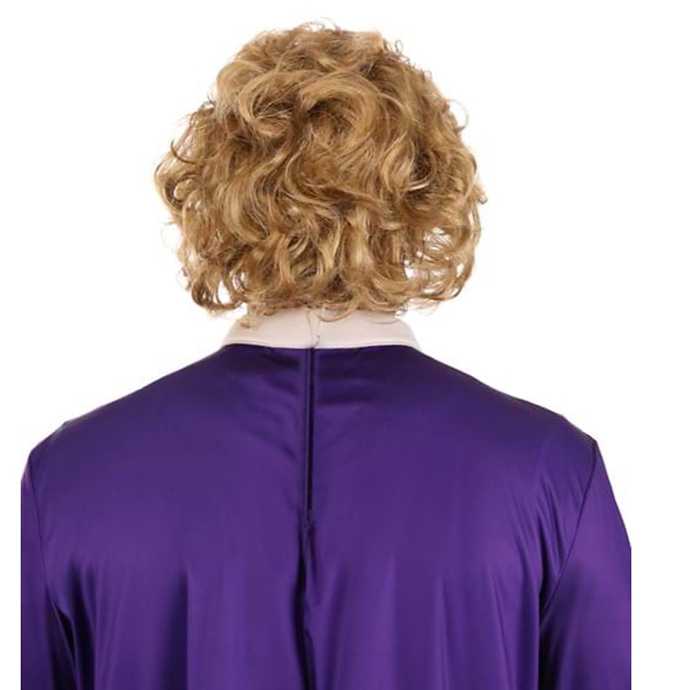 willy wonka y la fábrica de chocolate peluca de willy wonka para hombres pelucas de carnaval pelucas de halloween 2025 - $21.99 –P3