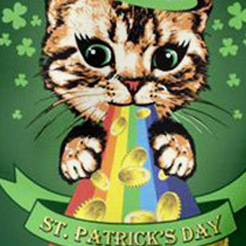 St Patrick Pojkar 3D Katt Fyrklöver Tröja Pullover Långärmad 3D-tryck Vår Höst Mode Streetwear Häftig Polyester Barn 3-12 år Rund hals Utomhus Ledigt Dagligen Normal 2025 - $17.49 –P5