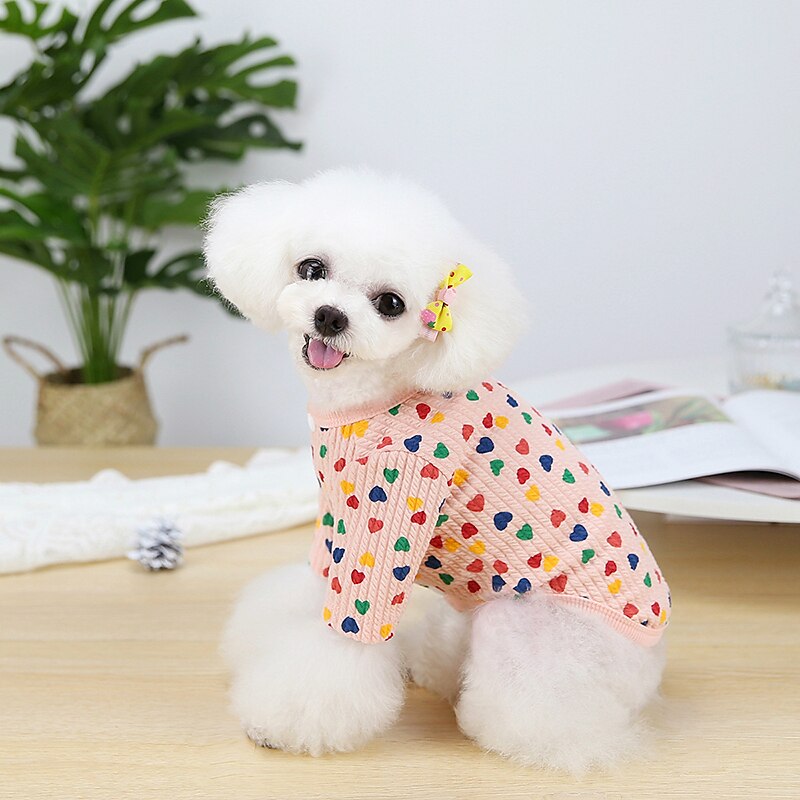 Koirat Kissat Takit Takki Muoti söpö tyyli Talvi Lämmin Pehmeä Pestävä Mukava ulko- Urheilu Koiran vaatteet for Bichon Frise Villakoira Pomeranian Pienelle lemmikille papillon 2025 - $26.99 –P7