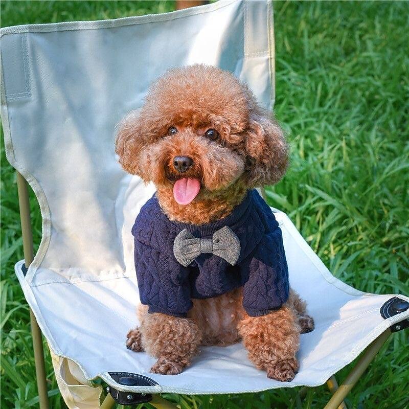 Honden Katten Truien Trui Modieus leuke Style Winter Warm Zacht Wasbaar Comfortabel Buiten Sport Hondenkleding for Bichon Frise Poedel pomeranian kleine huisdieren Vlinder 2025 - $35.99 –P1