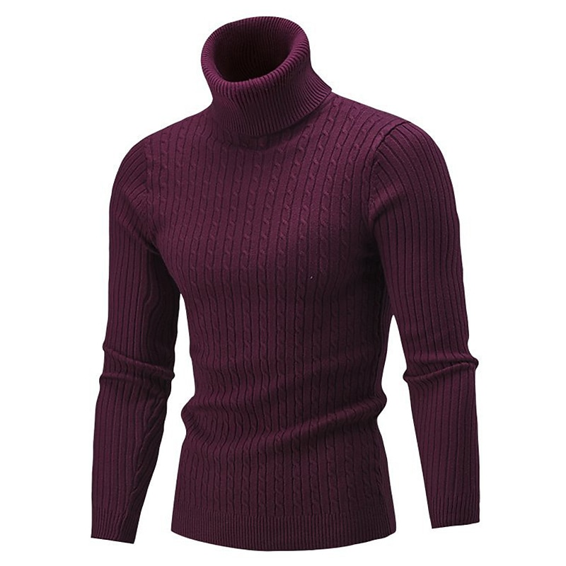Per uomo Felpa Maglione a collo alto Maglione Maglia Lavorato a maglia Intrecciato Tinta unica A collo alto Stile vintage Morbido Interni Giornaliero Abbigliamento Inverno Autunno Nero Vino S M L del 2026 a $22.99 –P11