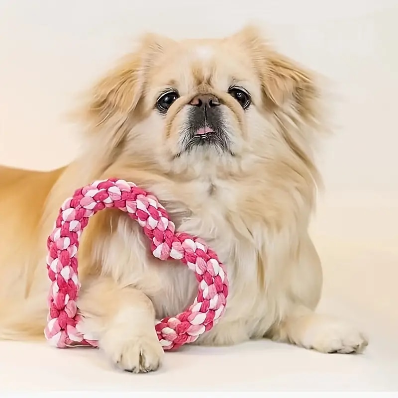 Jouets de mastication Jouet interactif Cordes avec Durable Exercice pour animaux de compagnie Relâcher la pression pour Chien Chat Intérieur Extérieur Jeu d'animaux de 2025 ? $16.99 –P1