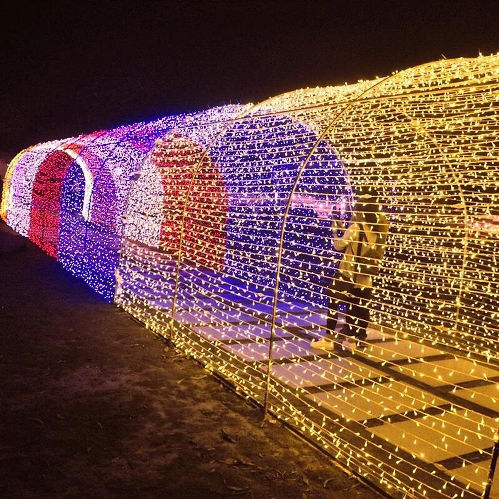 50M/100M Outdoor Waterproof Light String 8 Modes Iron Shell Waterproof Garden String Lights for Christmas Festivals & Parties 2025 - $74.99 –P9