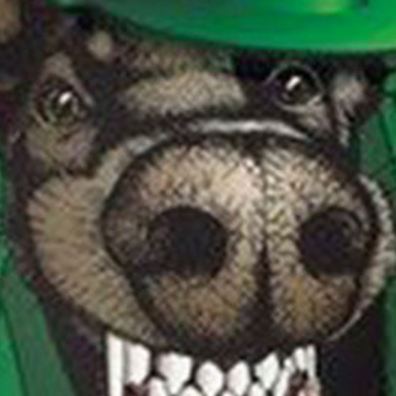 st. Patrick jongens 3D hond hoodie trui met lange mouwen 3D-print lente herfst mode streetwear cool polyester kinderen 3-12 jaar met capuchon buiten casual dagelijks normale pasvorm 2025 - $18.99 –P3