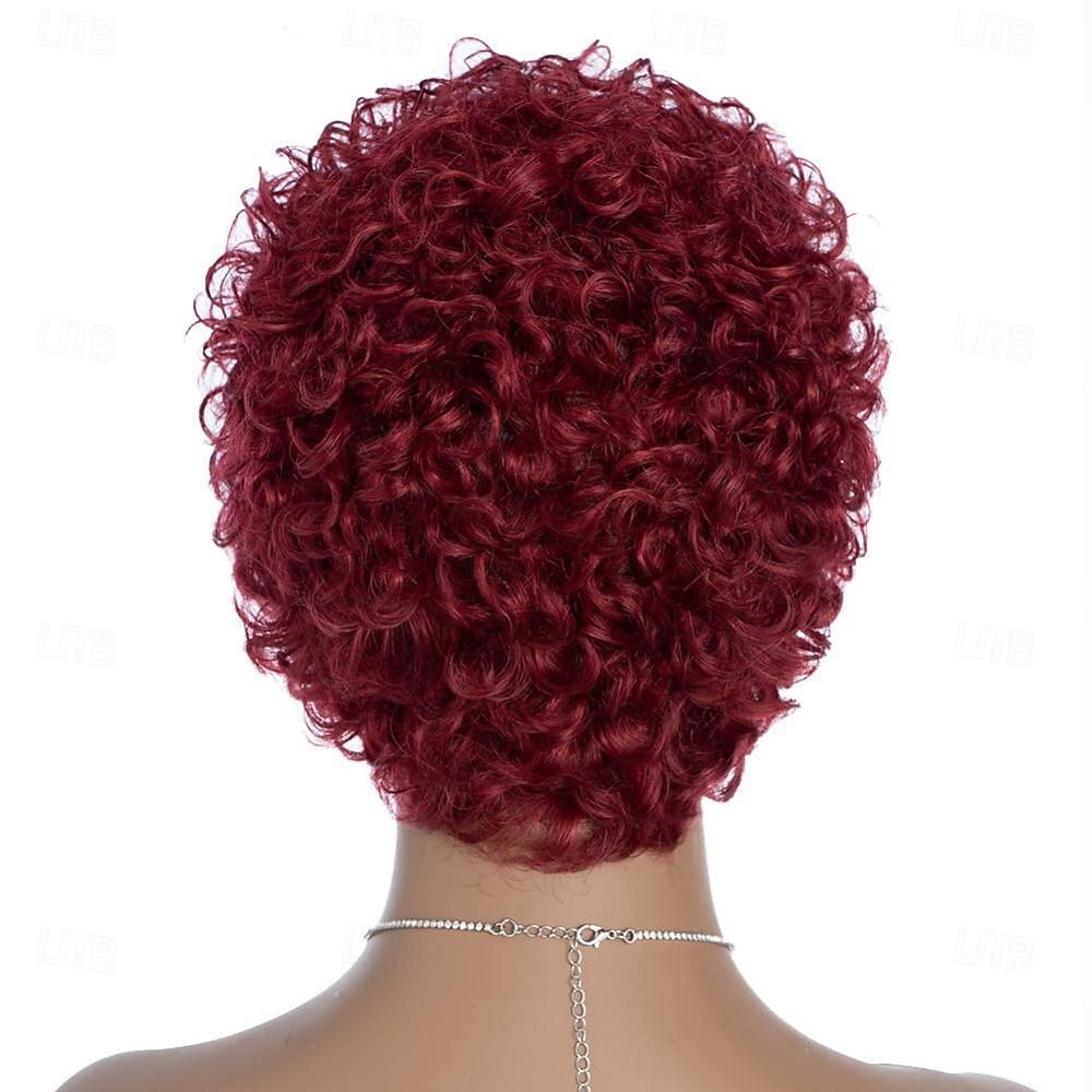 kort krullend menselijk haar pruiken voor vrouwen 100% Braziliaanse maagd kort menselijk haar pixie-cut pruiken korte bob krullend niet-kant menselijk haar pruiken 2025 - $47.99 –P6
