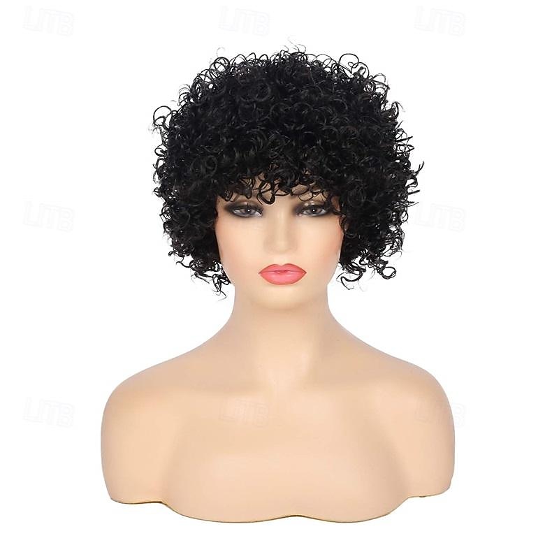 Parrucca Corto Riccia Afro per Donne Nere Parrucche Kinky con Frangia Parrucche Sintetiche Resistente al Calore Parrucche dall'Aspetto Naturale Parrucca di Halloween del 2025 a $21.99 –P2