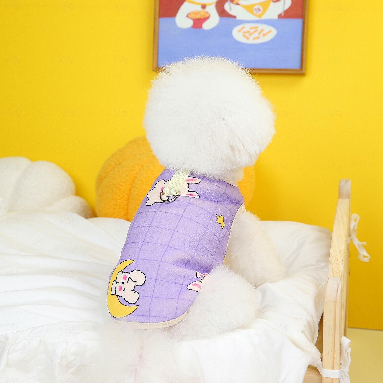 Câini Pisici Hanorca Adorabil Timp Liber Iarnă Respirabil Απαλό Lavabil Comfortabil Zilnice Concediu Casul / Zilnic Sfârșit de săptămână Îmbrăcăminte pentru câini for Pisica Câine Husky Labrador 2025 - $20.99 –P11