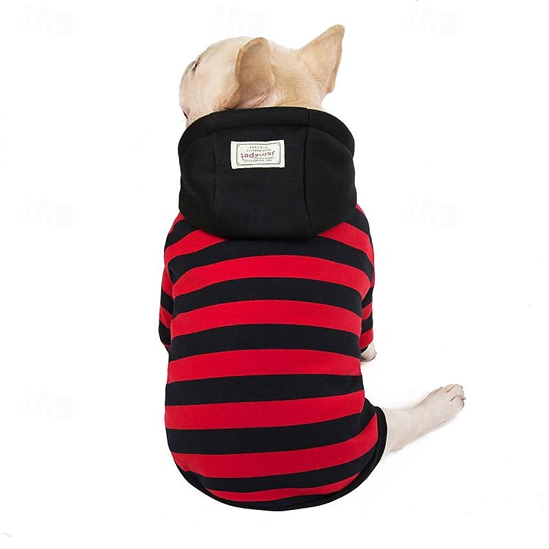 Dog Cat Coat Jacket Fashion Cute Winter Warm Soft Washable Comfortable Outdoor Sports Dog Clothing for Bichon Frise Poodle Pomeranian Baby Pet Papillon 2025 - $29.99 –P1