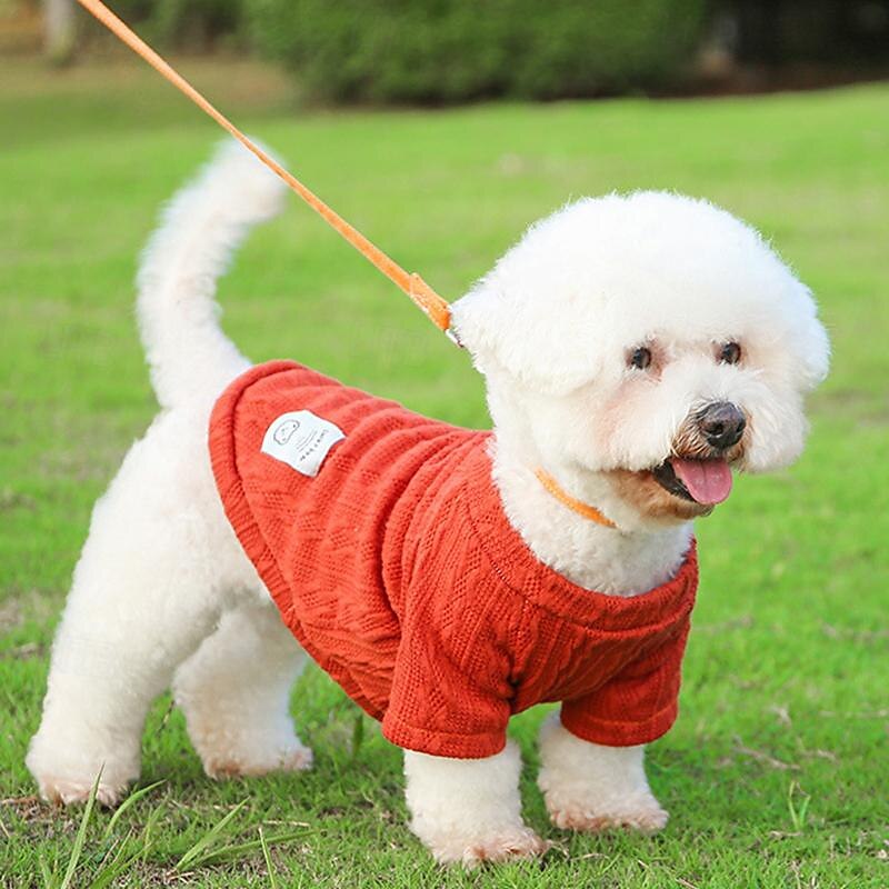 Cane Gatto Maglione Moda Carino Inverno Caldo Morbido Lavabile Confortevole All'aperto Sportivo Abbigliamento per Cani for Bichon Frisé Barboncino Volpino di Pomerania Cucciolo Papillon del 2025 a $20.99 –P3