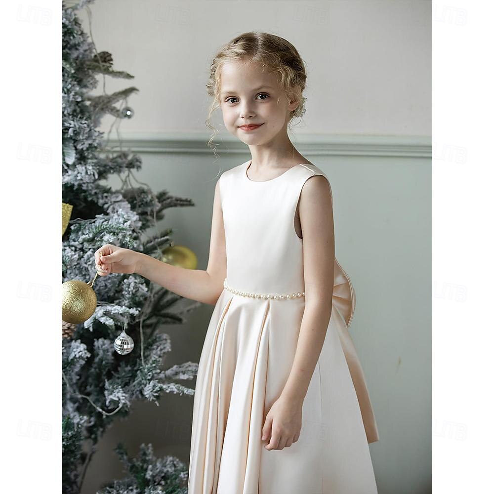 Enfants Fille Robe de demoiselle d'honneur Robe de fête Couleur unie Sans Manches Mariage Anniversaire Soirée Mode Adorable du quotidien Polyester Eté Printemps 2-12 ans Beige de 2025 ? $45.99 –P6