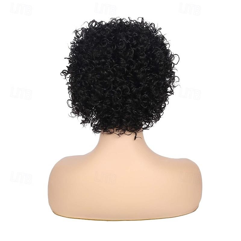Parrucca Corto Riccia Afro per Donne Nere Parrucche Kinky con Frangia Parrucche Sintetiche Resistente al Calore Parrucche dall'Aspetto Naturale Parrucca di Halloween del 2025 a $21.99 –P5