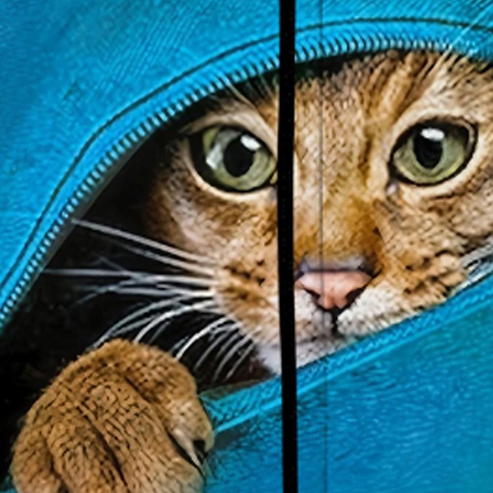 Boys 3D Cat Hoodie Coat Outerwear Long Sleeve Fall Winter Active Streetwear Cool Polyester Kids 3-12 Years Zip Street Daily Regular Fit 2025 - $18.99 –P4