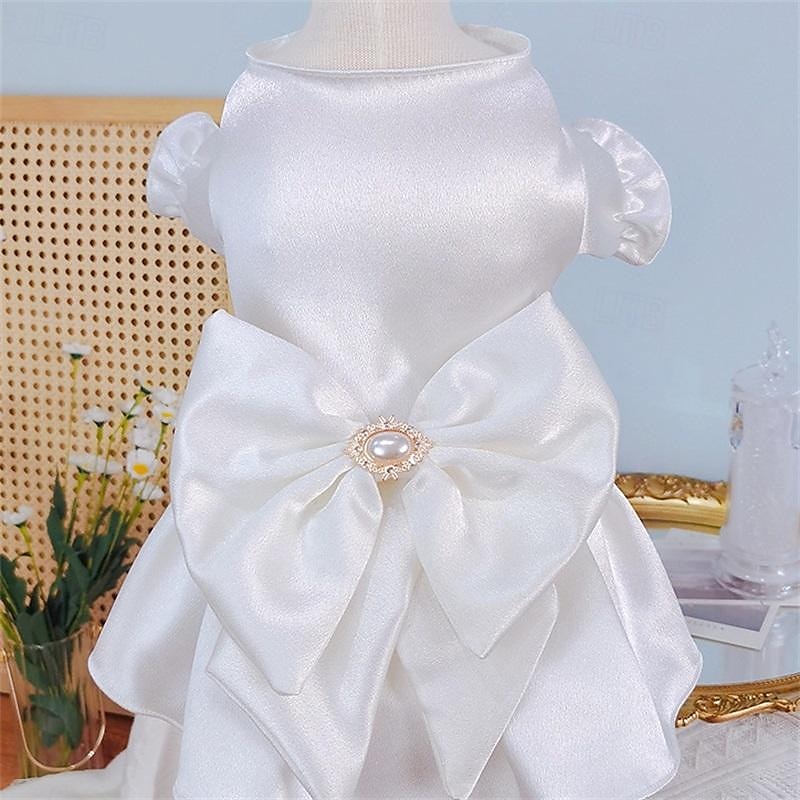 Hund Katze Hochzeitskleid Mode Party Winter Atmungsaktiv Weich Waschbar Bequem Outdoor Hochzeitsfeier Alltagstauglich Hundebekleidung for Bichon Frise Zwergspitz Baby Haustier Papillon Klein 2025 - $18.99 –P6