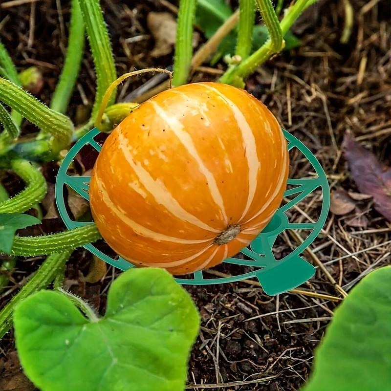 Paquete de 10 soportes para plantas de melón, jaulas, cunas, enrejados para sandía, melón, calabazas, fresas, evita la pudrición del suelo, reutilizable (soporte redondo para sandía) 2025 - $9.99 –P8