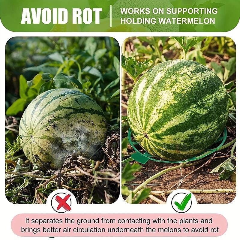 Paquete de 10 soportes para plantas de melón, jaulas, cunas, enrejados para sandía, melón, calabazas, fresas, evita la pudrición del suelo, reutilizable (soporte redondo para sandía) 2025 - $9.99 –P10