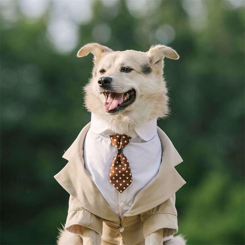 Câini Pisici Costum Modă Petrecere Iarnă Respirabil Απαλό Lavabil Comfortabil În aer liber Casul / Zilnic Îmbrăcăminte pentru câini for Bichon Frise Pomeran un Animalut Fluture Small 2025 - $38.99 –P4