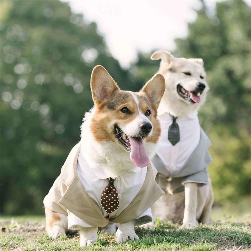 Câini Pisici Costum Modă Petrecere Iarnă Respirabil Απαλό Lavabil Comfortabil În aer liber Casul / Zilnic Îmbrăcăminte pentru câini for Bichon Frise Pomeran un Animalut Fluture Small 2025 - $38.99 –P2