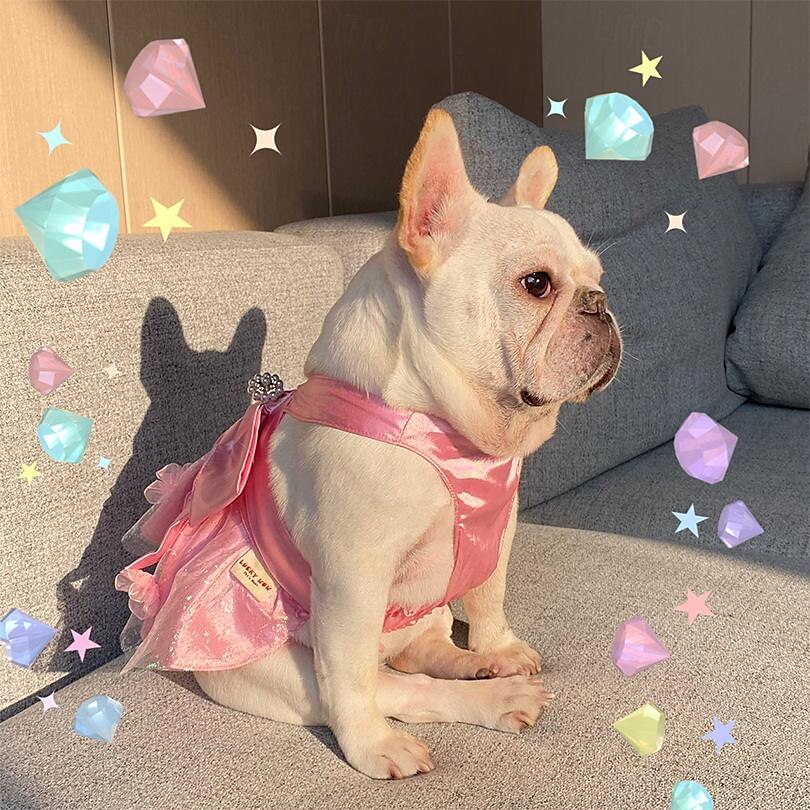 Chien Chat Smoking Mode Soirée Hiver Respirable Doux Lavable Confortable Extérieur Casual Quotidien Vêtements pour chiens for Bichon Frisé Loulou de Poméranie Bébé Animal Papillon Small de 2025 ? $24.99 –P3