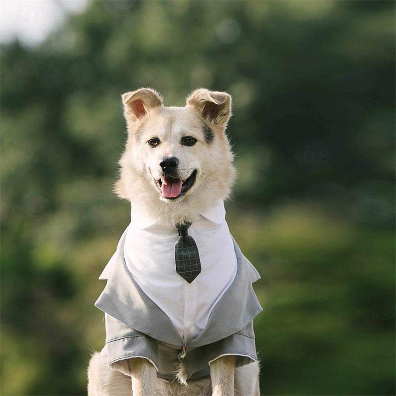Câini Pisici Costum Modă Petrecere Iarnă Respirabil Απαλό Lavabil Comfortabil În aer liber Casul / Zilnic Îmbrăcăminte pentru câini for Bichon Frise Pomeran un Animalut Fluture Small 2025 - $38.99 –P3