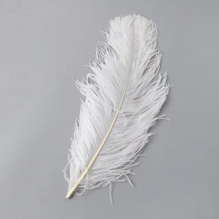 45-50cm fargerik stor fjær struts hår bord blomst bryllup dekorasjon struts fjær 2025 - $21.99 -P7