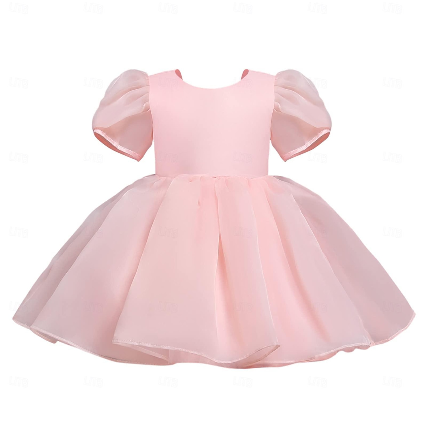 kinderkleidung Mädchen Blumenmädchen Kleid Party Kleid Feste Farbe Graphic Kurzarm Leistung Hochzeit Party Modisch bezaubernd Täglich Baumwolle abendkleider Frühling Herbst 2-8 Jahre Weiß Elfenbein 2025 - $33.99 –P4