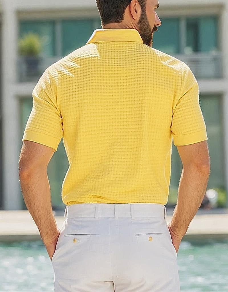 Per uomo Magliette Polo a Nido d'Ape Polo con zip Casuale Ferie Bavero Zip a un quarto Manica Corta Stile Vecchio Denaro Semplice Zip a un quarto Estate Vestibilità regolare Bianco Giallo Blu marino del 2026 a $28.99 –P2